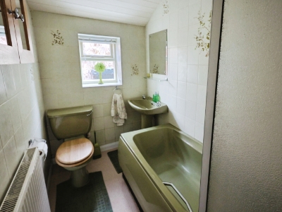 Picture 7